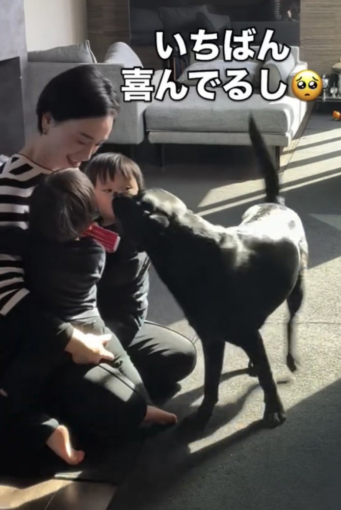尻尾を振る犬