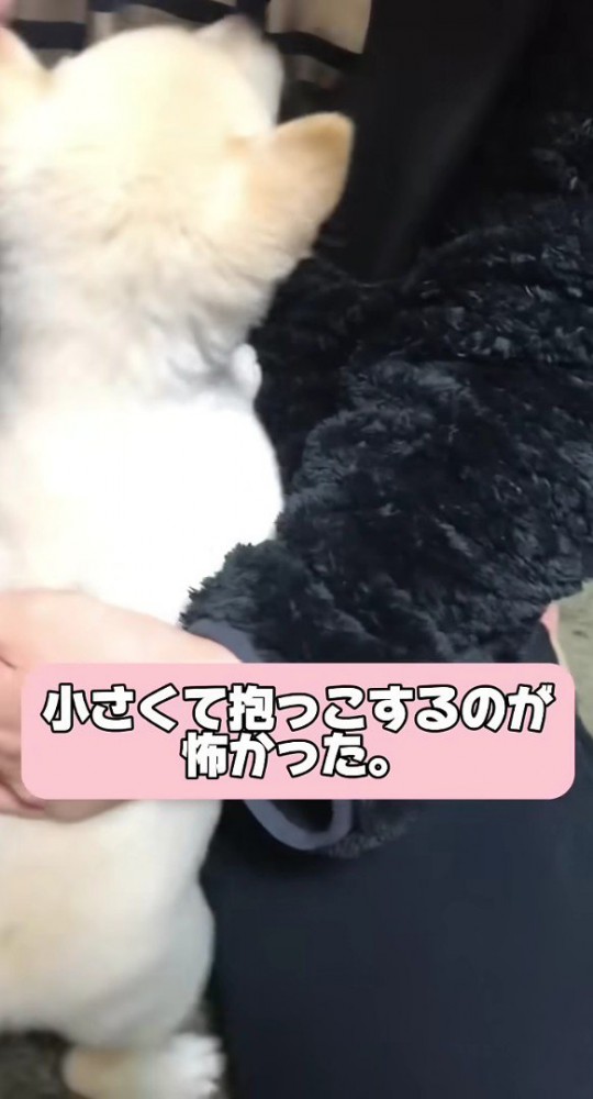 抱くのも怖いほど…