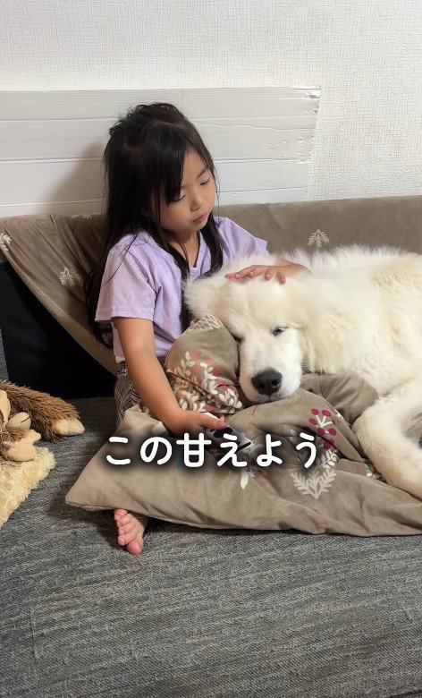 メイちゃんをナデナデ♪