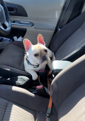 まだまだぼーっとしてます