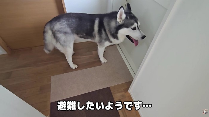部屋の外に避難