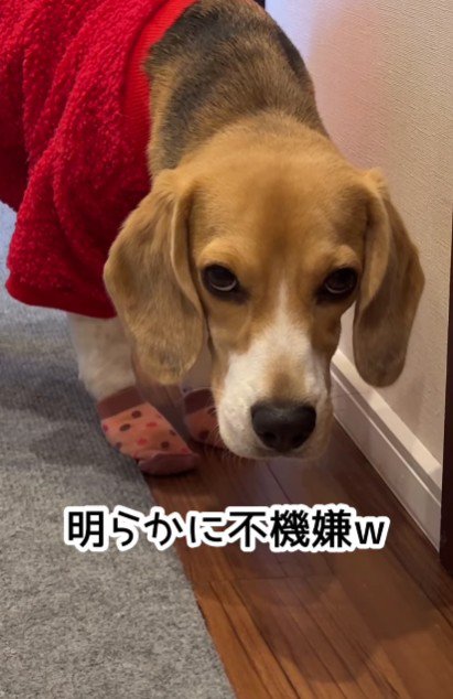 不機嫌な顔に…