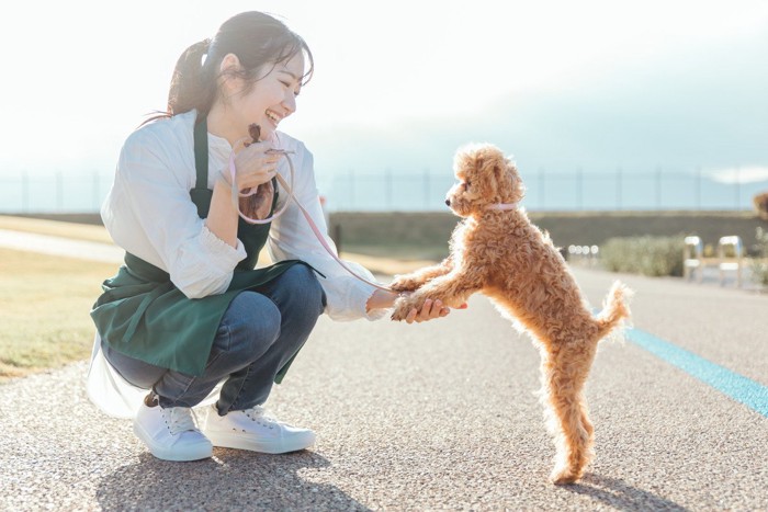 座って犬の手を持つ女性とプードル