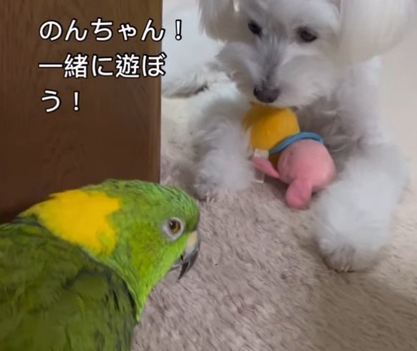 「遊ぼう!」