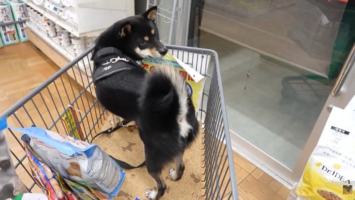 「ここ病院だよね!?」と気づいて…
