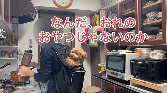 がっかりするバッキーくん