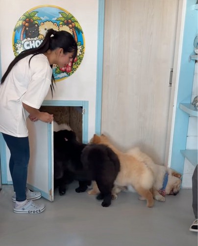 扉から帰っていく犬たち
