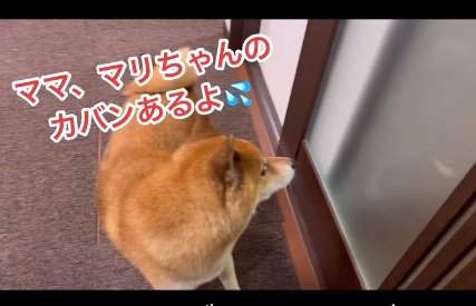 マリちゃんのカバンに気付くロックくん