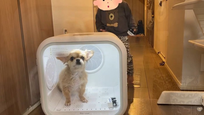 ドライヤーハウスの後ろへ…