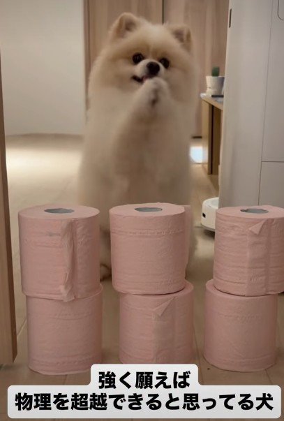 二本足で立って…