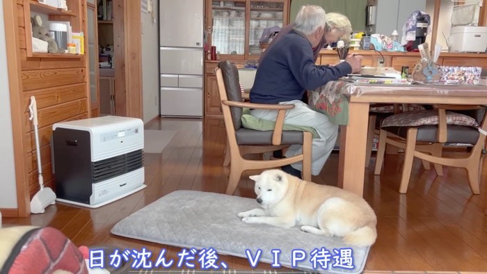 VIP待遇を受ける姿にホッコリ…♡