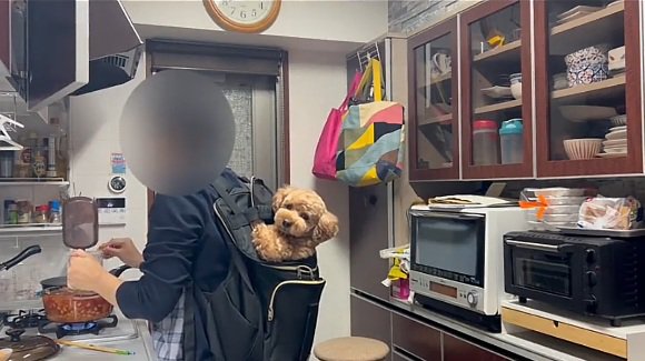 落ち着くバッキーくん