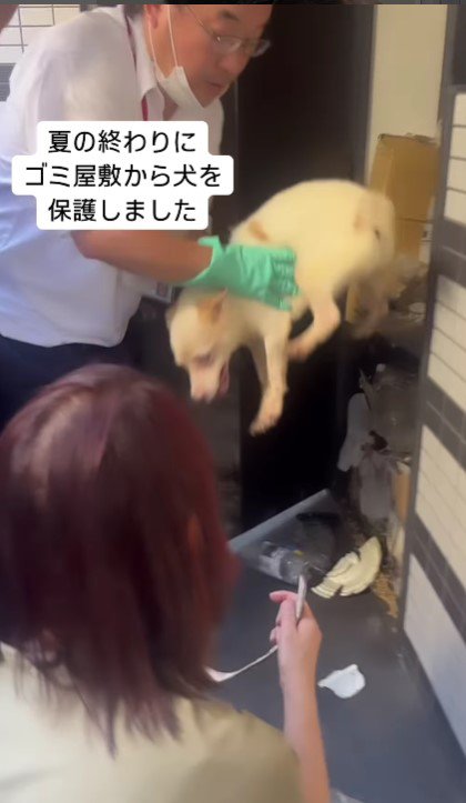 ゴミ屋敷で犬をレスキュー