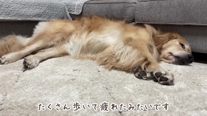 とっても楽しかったね