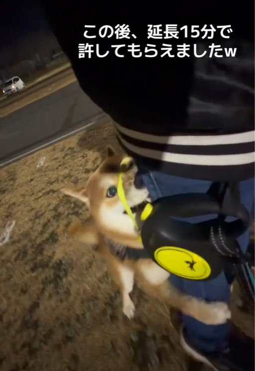 お散歩終了を阻止するはなまる君3