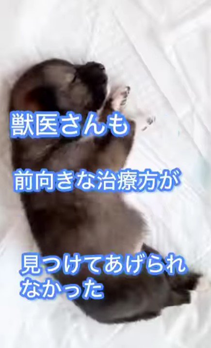 難病を抱えて生まれたマリンちゃん