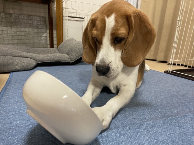 空っぽ