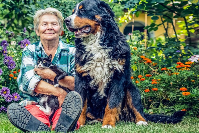 猫を抱いて庭に座る年配の女性と犬