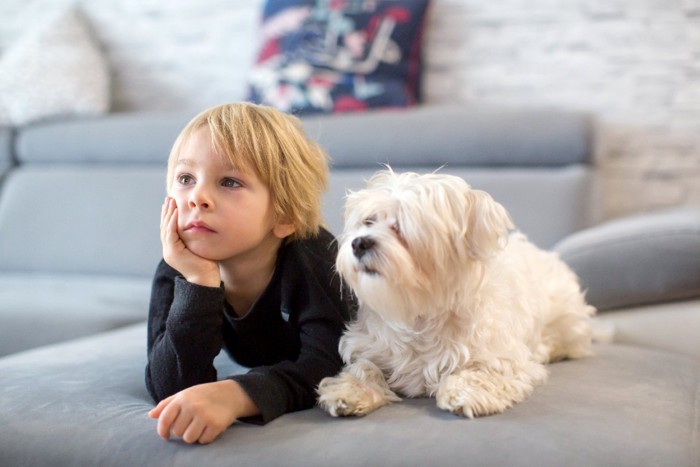 男の子に寄り添って座る犬