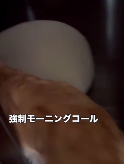 パパの目覚まし！！