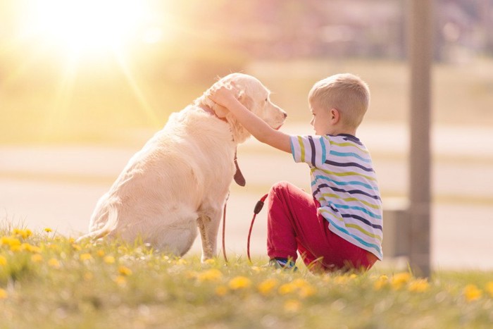 道端で犬の頭を撫でてあげる男の子