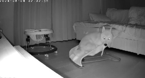 ぴったり収まった♡