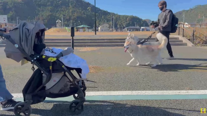 まさかのスルー！！