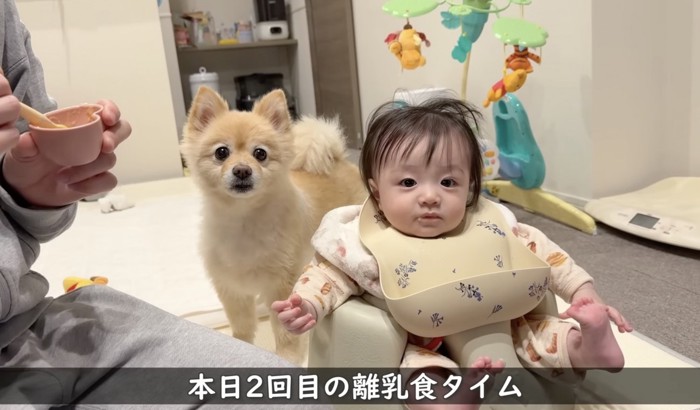 食事も見守ります