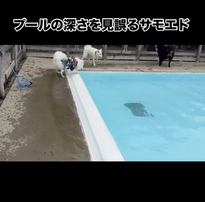 「ここだっ」