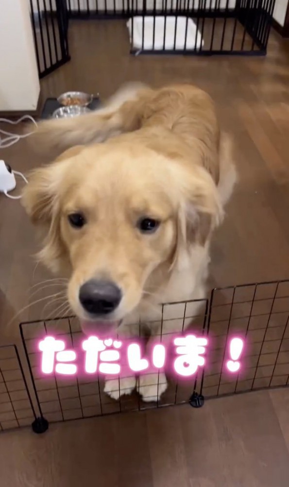 おかえり！！