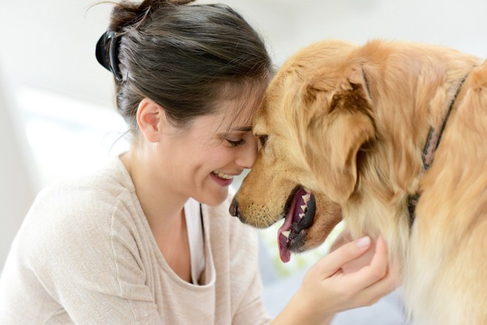 飼い主と額を合わせる犬