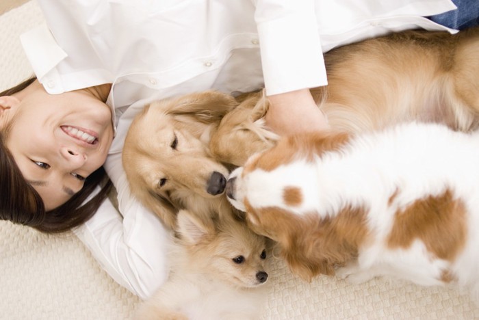 仲良く寝転んでいる犬と女性