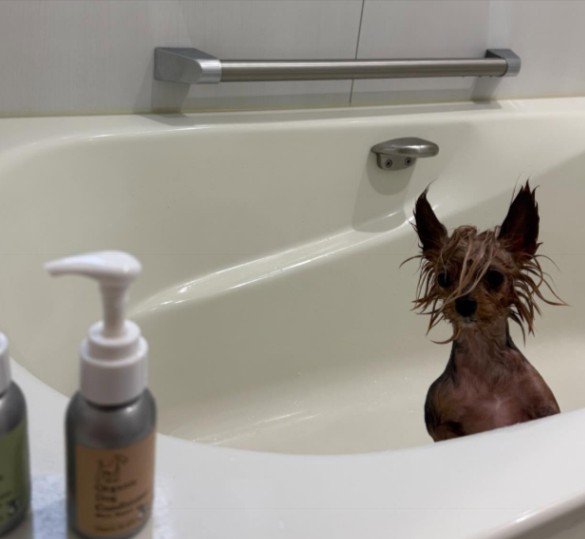 衝撃的な姿に変身!!