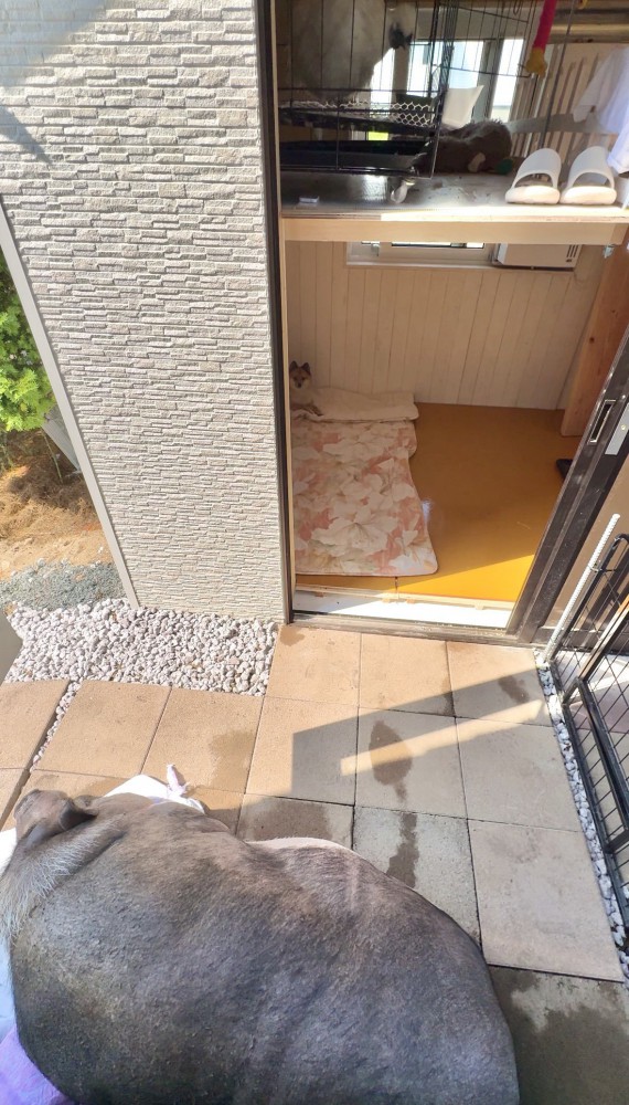 豚小屋