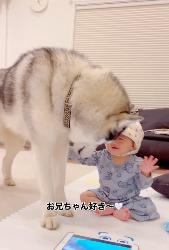 満面の笑みの赤ちゃん