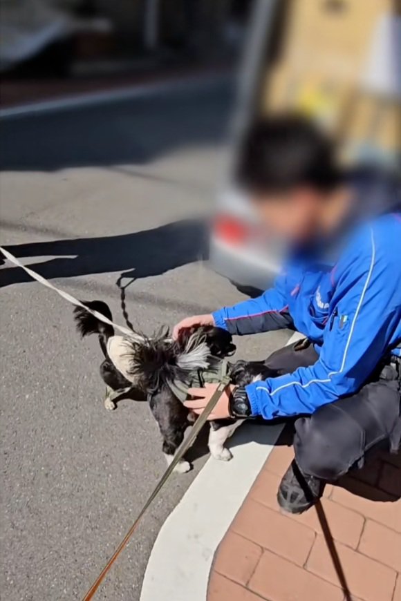 忙しいお兄さん