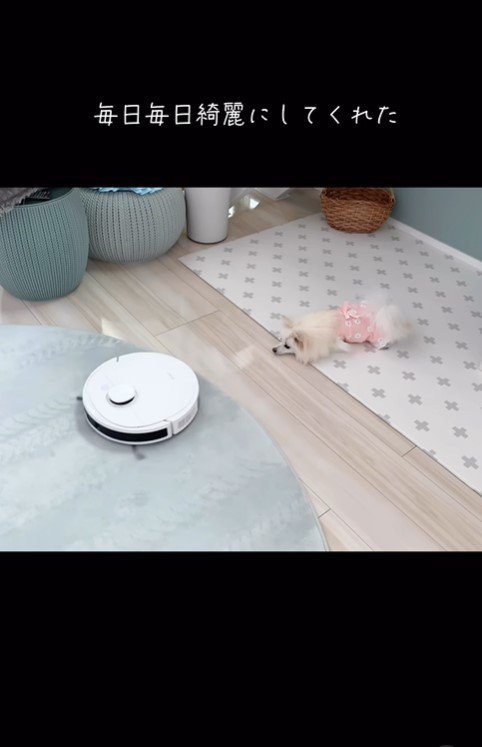 おもちちゃんとロボット掃除機3