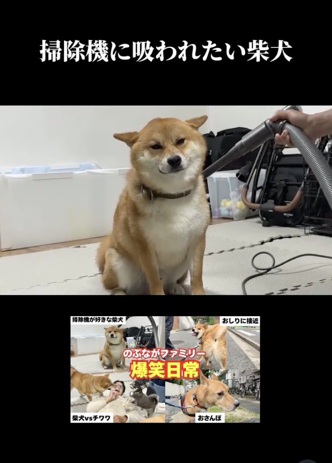 ウットリ…