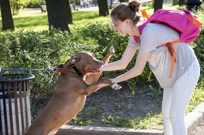 女性にじゃれつく犬