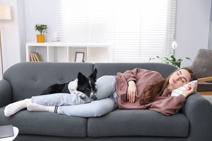 ソファで居眠りする犬と飼い主