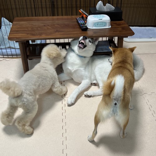まさかの結末