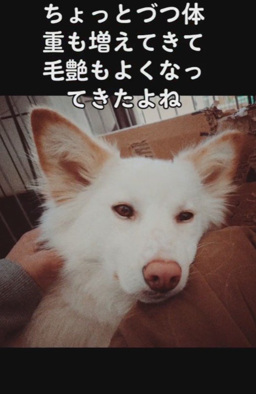 少しずつ心を開いてくれた