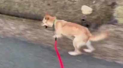 嬉しそうな姿に涙…