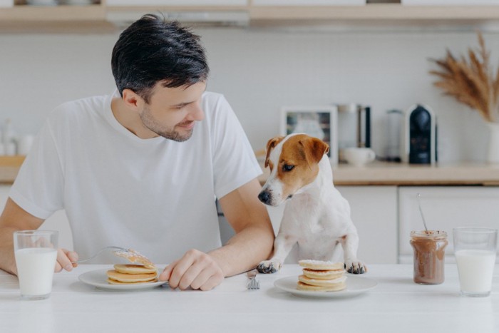 男性と食事する犬