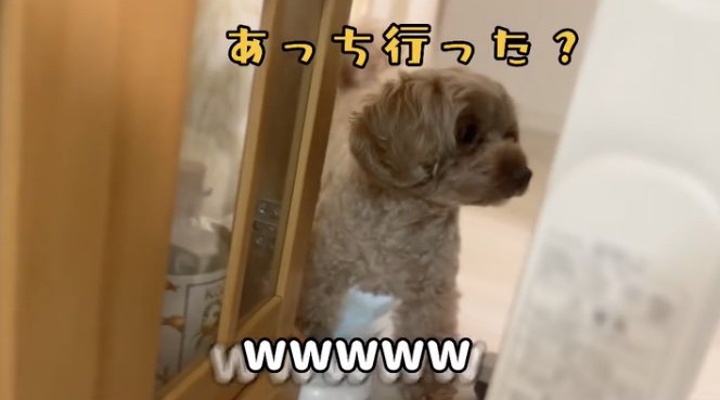 身を潜めます