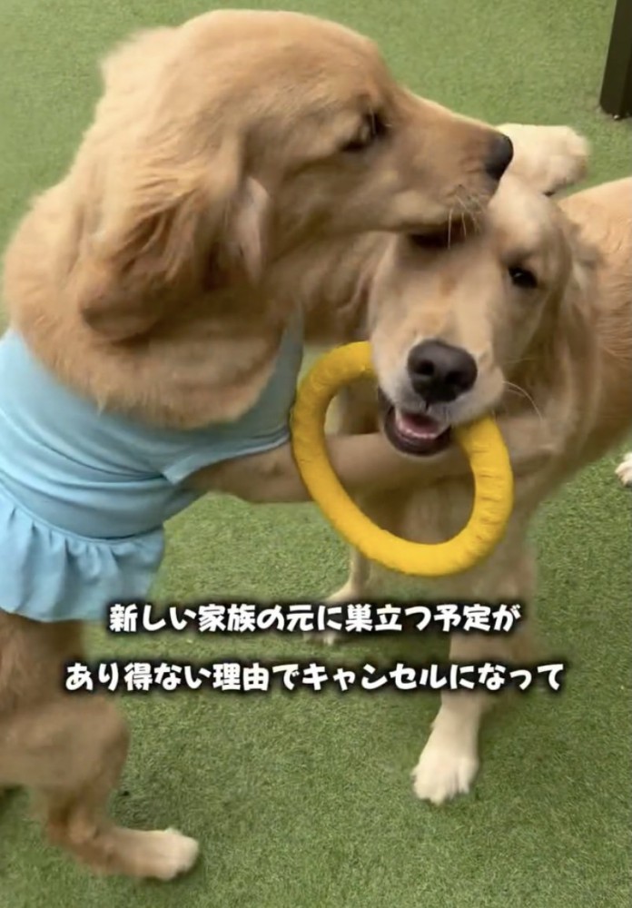 遊びも全力!