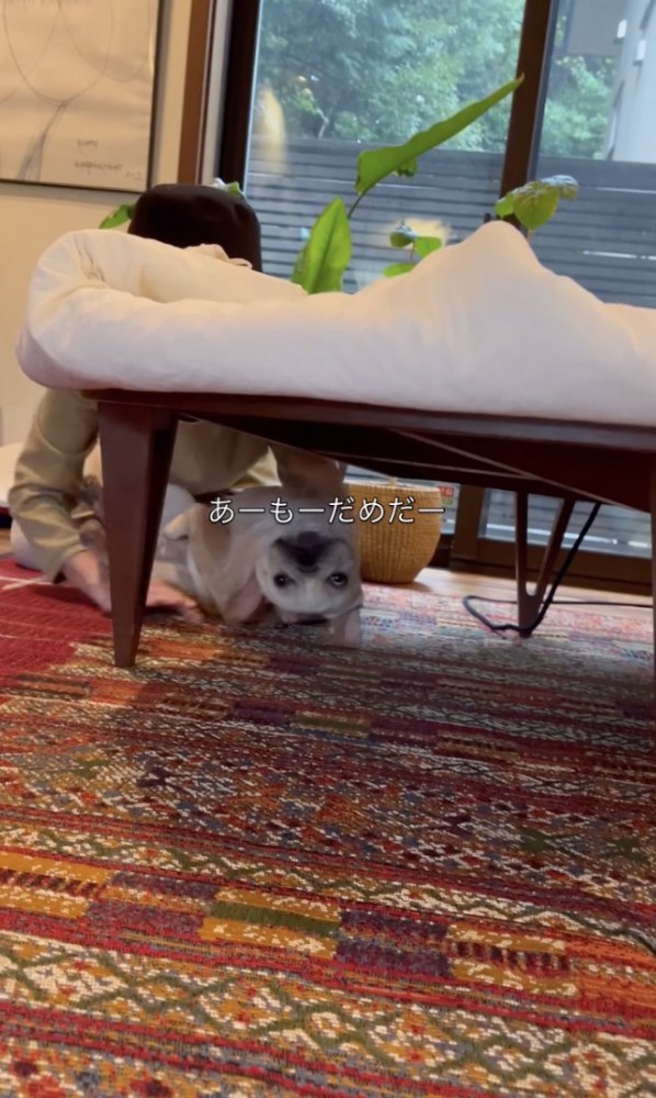 もーだめだー