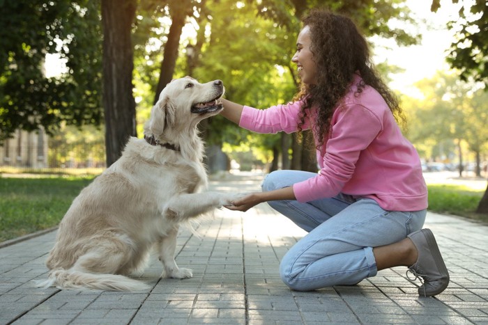 お手をする犬
