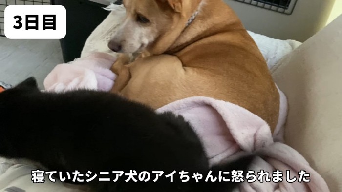 怒られることも！
