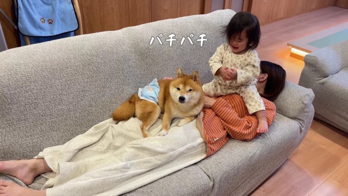 パチパチと拍手